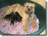 Py�n� maminka Julinka