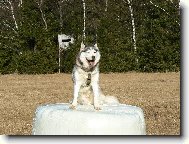 Takhle zhora v�s vidim l�pe