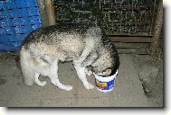 Je tam je�t� n�co?