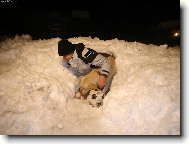 Kone�n� jsme se t�m tunelem prodrali!