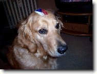 �E�I! DO TOHO!!!