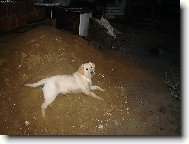 Jejda, ty m� fot�?!