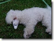 m�m hezk� �um��ek