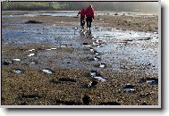 Zamrzaj�c� stopy