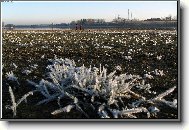 Zima na p�ehrad�