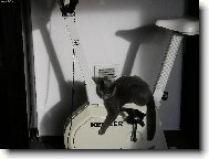 Po no�m roku hubnu i j�