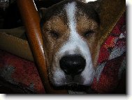 tam v�n� neprolezu