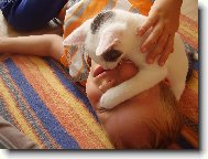 Zav�i o�i,brouku!