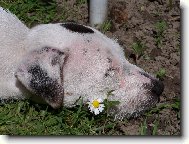 To se mi ale dob�e spink� !