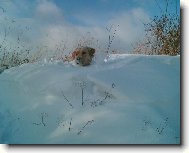 To byla, ale velk� z�v�j sn�hu!