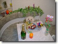 �ek�m na ��n�ka