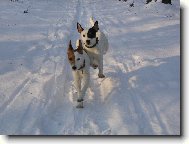 P�espoln� b�h.