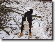 D� mi n�co dobr�ho???