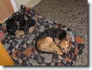 Mat�sek (10let) + Terezka (4 m�s�ce)