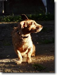 P��jem................