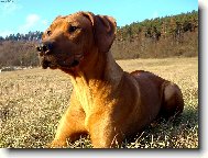 vyh��v�m se na slun��ku