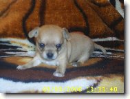 25 dn� na sv�t�.