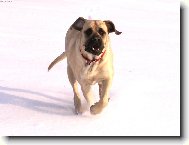 je�t� jednou Terezka!