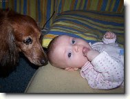 A ty jsi n�jak� nov� �t���tko?