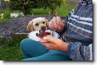 Ty mi ned� ani kousnout?