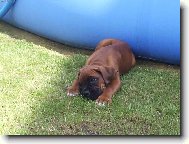 Jen si tak kouk�m :)