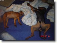 Pros�m nebudit !!!