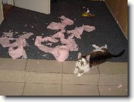 Tak tenhle toaletn� pap�r ne!