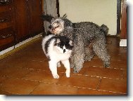 Tak r�d t� zase vid�m