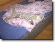 unaven� Barunka =)