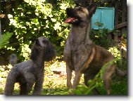 ...no tak u� ten klac�k ho� !...