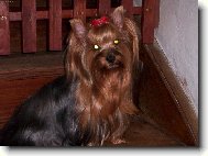 Pohodi�ka...........