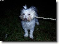 Barunka na proch�zce