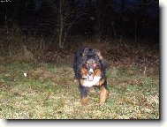 Achil z Opatovick�ch luk