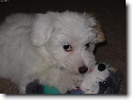 Tak to je muj my�anek r�d si do nej zakousnu...