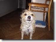 Zase jsem se namo�ila...