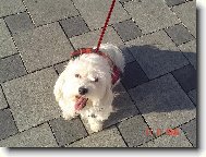 Jesen� vych�dzka