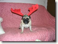 ��astn� a vesel�