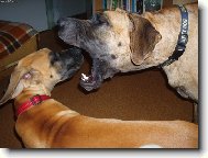 Matka domlouv� dce�i.