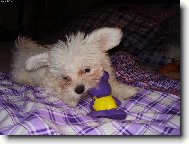 P�em��l�m co s n�m