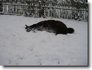 Haj�, haj�, kr�sn� pe�inka