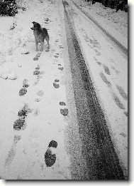 Kone�n� sn�ek!