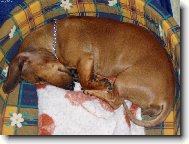 ja sp���mmm :D