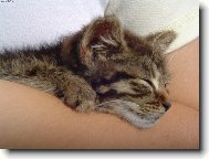 Pohoda kl�dek tab��ek