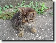 �O JE TO TAM???????????????