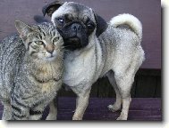 Kdy� dva se r�di maj�.....