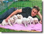 P�n��ek a jeho parta