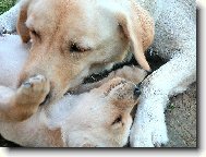 �es� a mal� �t�n�k