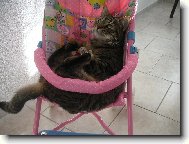 u� jsem p�ipraven�, m��eme jet