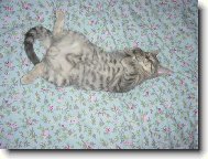 �����, to je pohodi�ka...