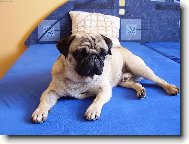 Max��ek-odpoledn� odpo�inek